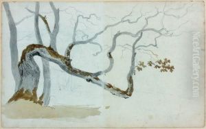 Une Paire : Etudes D'arbres