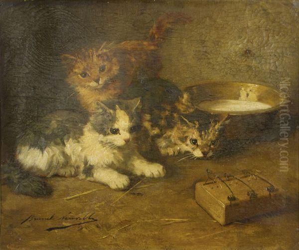Les Chatons - view 1