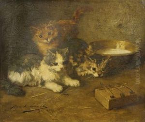 Les Chatons