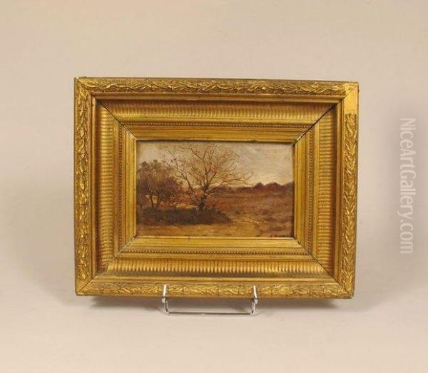 Paysage - view 1