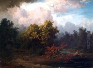 Baumbestandene Landschaft Bei Abziehendem Gewitter by Josef Brunner