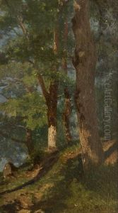 Alberi Nel Bosco by Stefano Bruzzi
