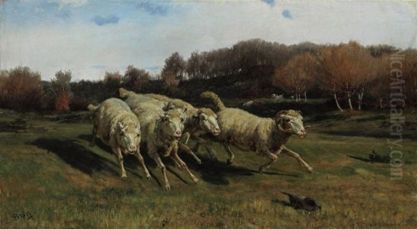 Fleeing Sheep - view 1