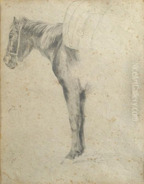 Studio Di Cavallo - view 1