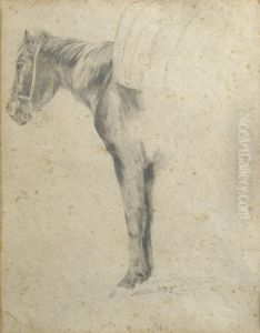 Studio Di Cavallo by Stefano Bruzzi