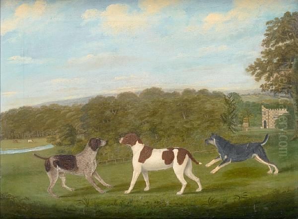 Three Hounds In A Wooded Landscape - view 1
