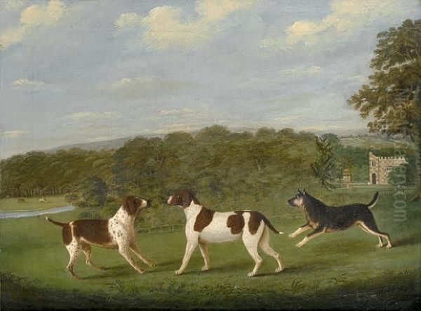 Three Dogs In A Landscape Before A Countryhouse - view 1