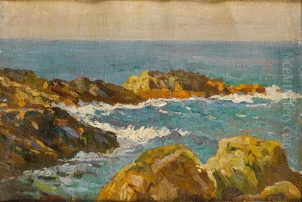 Rocky Coastline - view 1