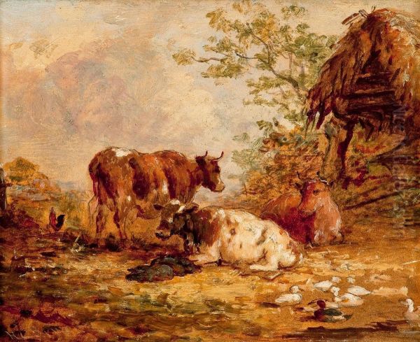 Resting Cows - view 1