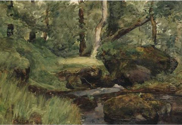 Forest Interior - view 1