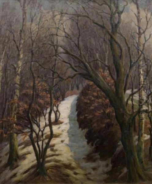 Winterlicher Waldweg - view 1