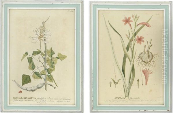 'le Jardin D'eden' - view 1