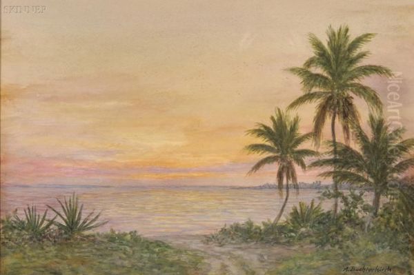 Tropical Sunset, 
Bahama Islands - view 1