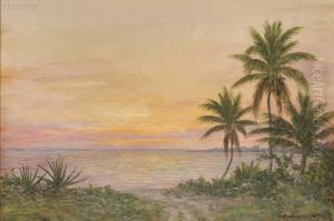 Tropical Sunset,
Bahama Islands by Armin Buchterkirch