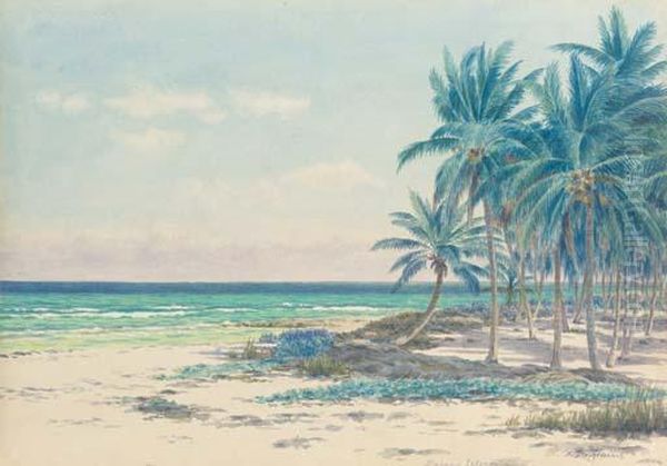Bahama Islands - view 1