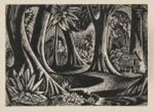 A Collection by John Buckland-Wright