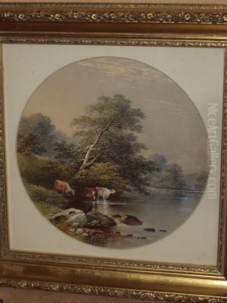 Cattle Watering At A River Side - view 1