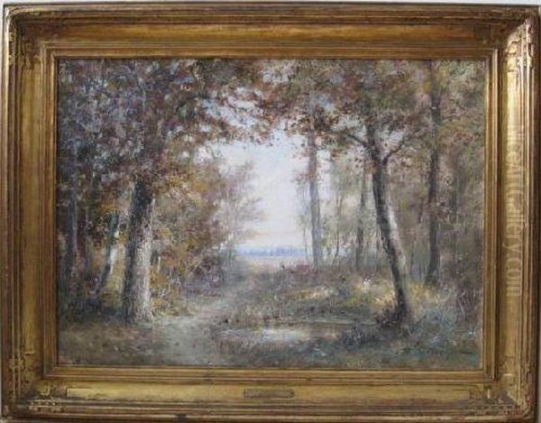 Autumn Sunshine Through Forest - view 1