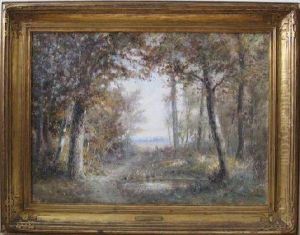Autumn Sunshine Through Forest by William Savery Bucklin