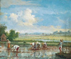 Planting Rice