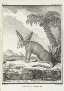 La Description Du Cabinet Du Roi. by George Louis Leclerc Buffon