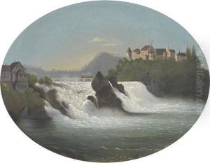 Der Rheinfall Bei Neuhausen