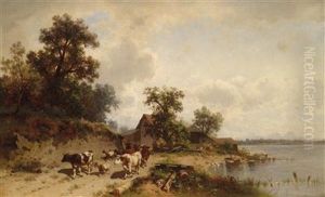 Herd Of Cows On The Lake Shore