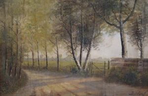 The Birch Alley by Theodor Buicliu