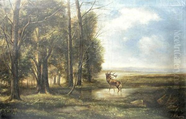 Stag At The Forest Border - view 1