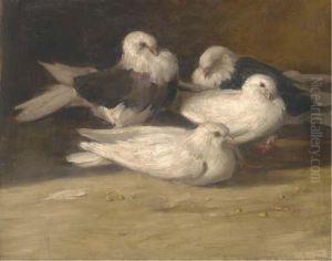 Doves by Mariska Bukkerti