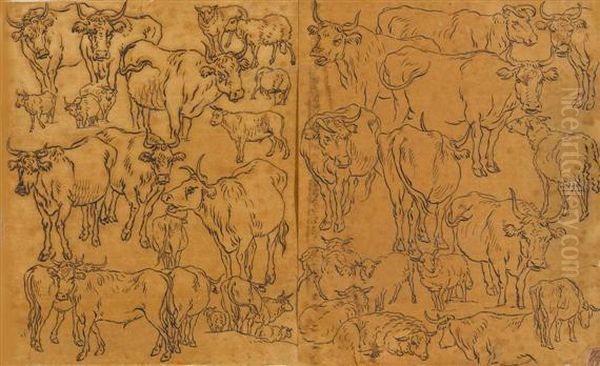 Study Sheet With Cows And Sheep - view 1