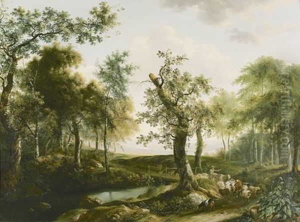 Waldlandschaft Im Sommer. - view 1