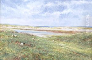 An Anglesey Common