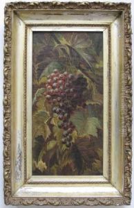 Grapes On The Vine