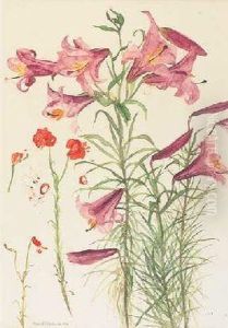 Regale And Chalcedonicum by Elizabeth E. Bundy