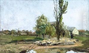 Schafherde Am Dorfrand Von Schwaan by Franz Bunke