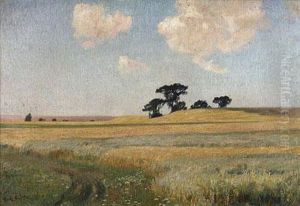 Sommerlandschaft Bei Schwaan by Franz Bunke