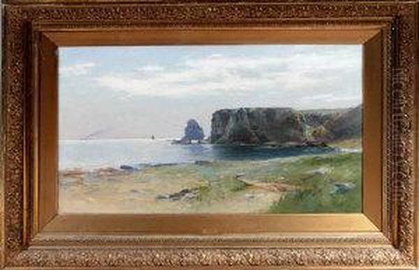 The Black Rocks, Munchalls, Aberdeenshire - view 1