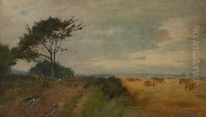 Harvest, Aberdeenshire