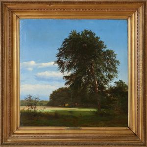 Forest Scene Fromcharlottenlund, Denmark by Heinrich Buntzen