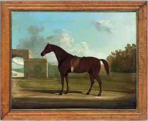 A Bay Horse In A Landscape