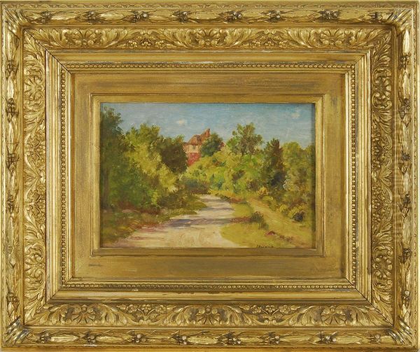Pathway Through The Trees Leading To A Victorian House - view 1