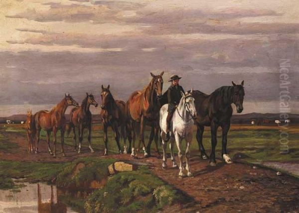 Mounted Rider Leading A Herd Of Horses Over A Stream - view 1