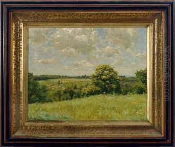 Summer Landscape - view 1