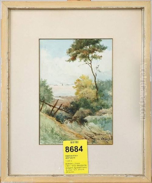 Stockholms Skargard, Signerad Conny Burman 1907 - view 1
