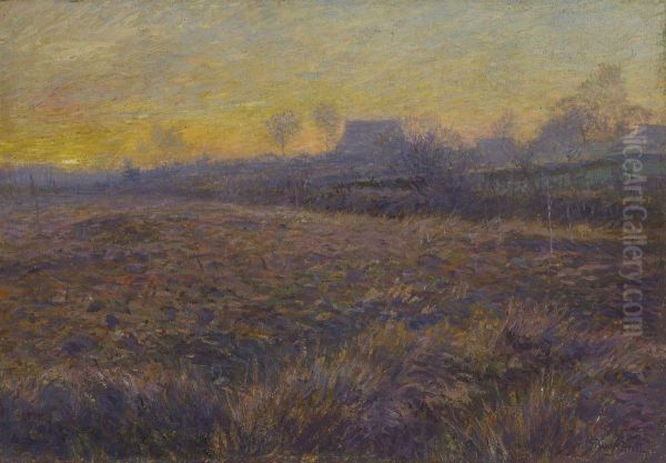 Morgenstimmung In Der Heide - view 1