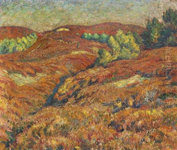 Herbst In Der Heide - view 1
