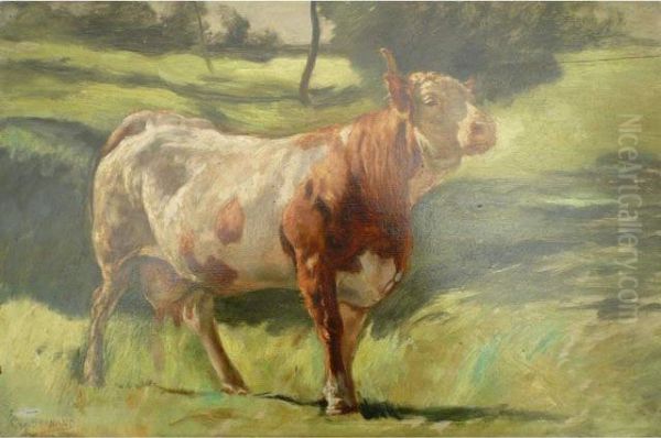 Vache - view 1