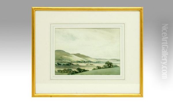 Extensive Landscape - view 1