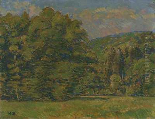 Waldwiese - view 1